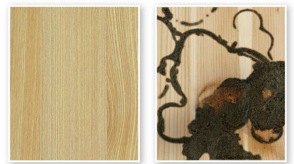 微信截圖_20191030091936