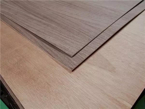 微信圖片_20191029154346