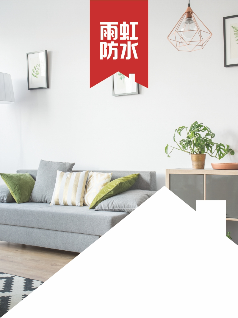 網(wǎng)站-東方雨虹-01