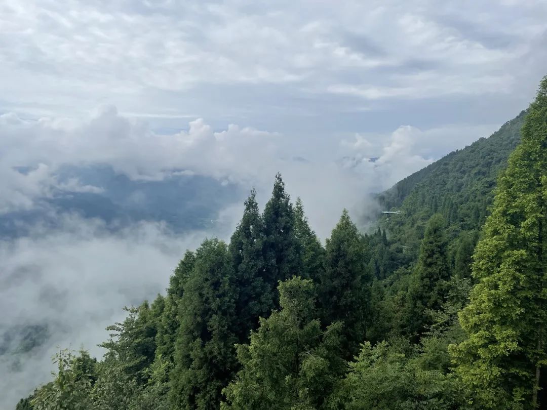 微信圖片_20220819084525