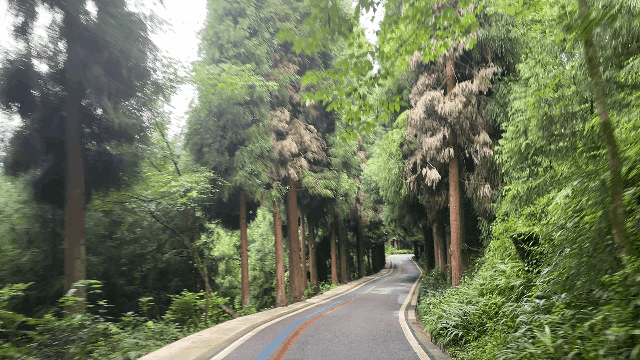 微信圖片_20220819084528