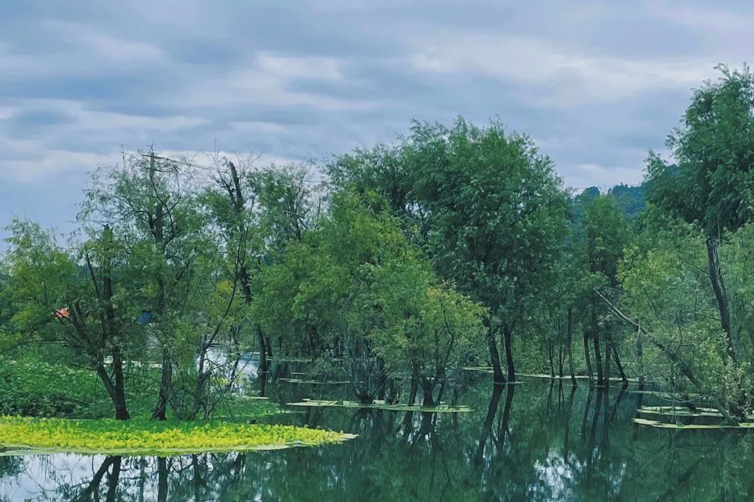 微信圖片_20220819084436