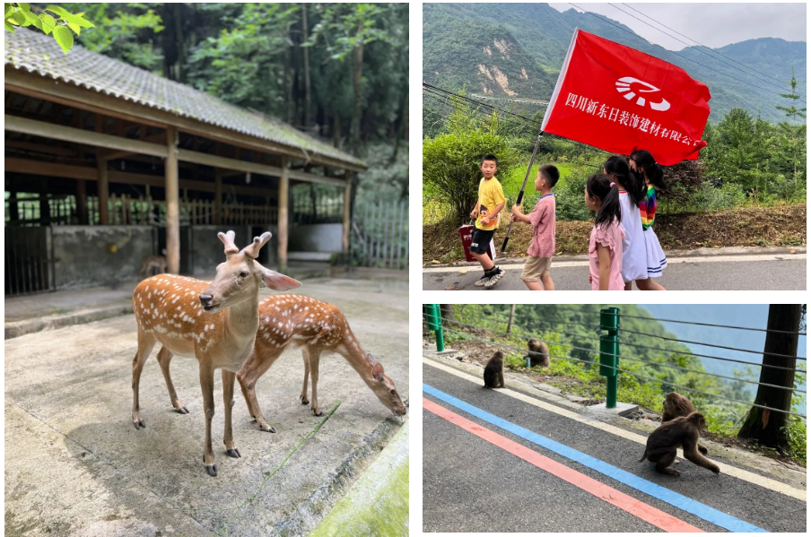 微信圖片_20220819084659