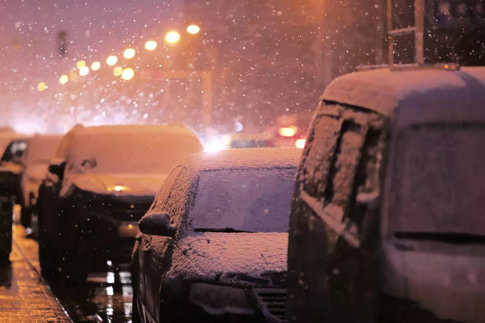 4e8d5d3f8ed85ea0801bd51e74f77af